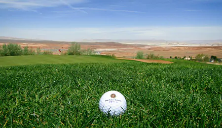 A golf ball on a golf course