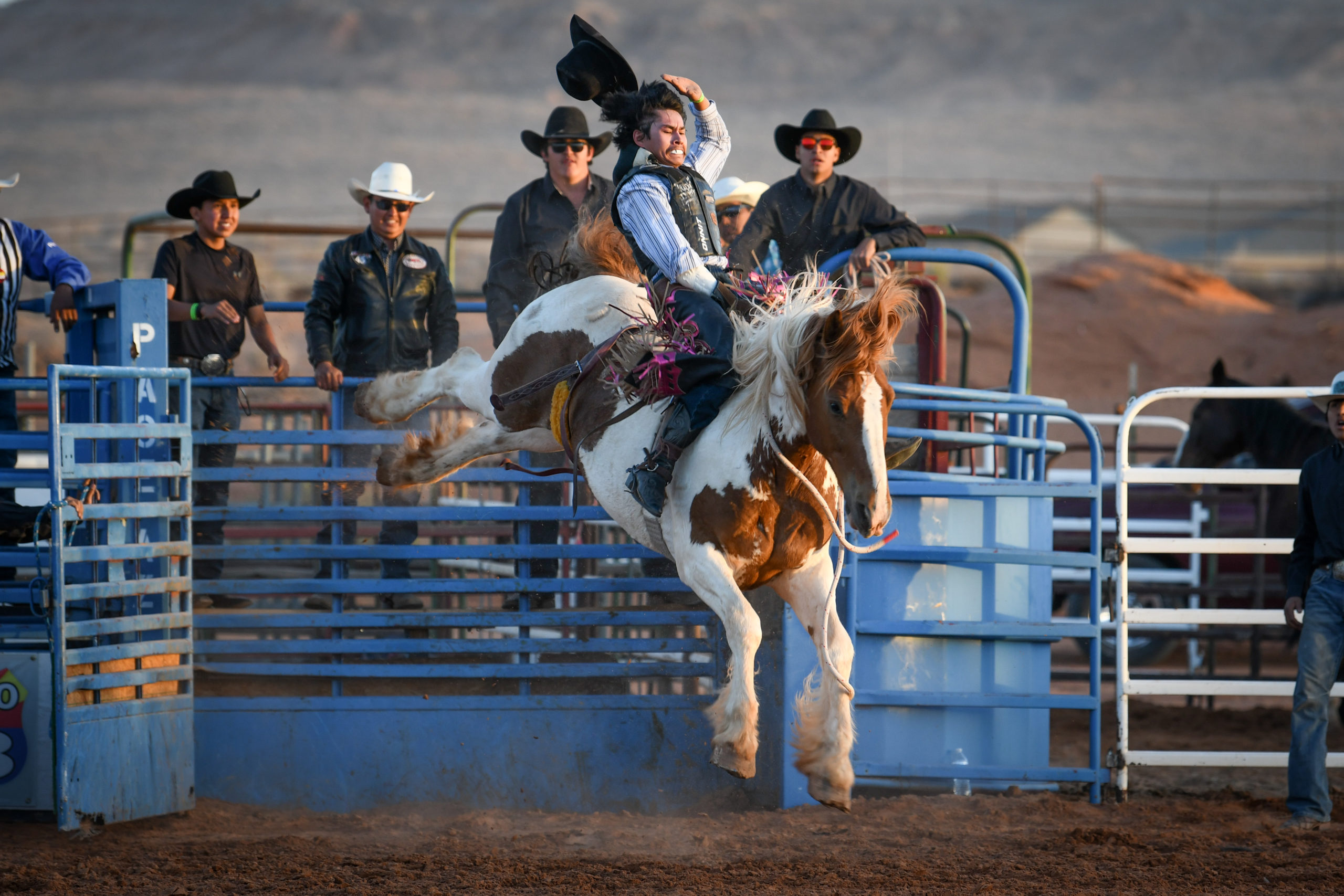 Rodeo Things To Do In Lake Powell